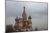 The Coloured Domes of St Basils Cathedral, Moscow, Russia-Richard Bryant-Mounted Photo