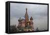 The Coloured Domes of St Basils Cathedral, Moscow, Russia-Richard Bryant-Framed Stretched Canvas