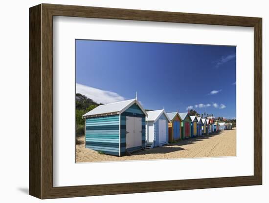 The Colourful Brighton Bathing Boxes Located on Middle Brighton Beach, Brighton, Melbourne-Cahir Davitt-Framed Photographic Print