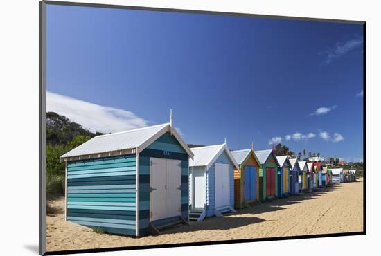 The Colourful Brighton Bathing Boxes Located on Middle Brighton Beach, Brighton, Melbourne-Cahir Davitt-Mounted Photographic Print