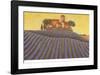 The Colours of Provence III-M^ Picard-Framed Art Print