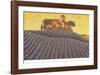 The Colours of Provence III-M^ Picard-Framed Art Print