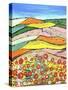 The Colours of Spring-Caroline Duncan-Stretched Canvas