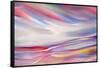 The Colours of Spring-Ursula Abresch-Framed Stretched Canvas