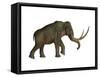 The Columbian Mammoth, an Extinct Species of Elephant-null-Framed Stretched Canvas