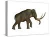 The Columbian Mammoth, an Extinct Species of Elephant-null-Stretched Canvas