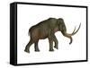 The Columbian Mammoth, an Extinct Species of Elephant-null-Framed Stretched Canvas