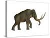 The Columbian Mammoth, an Extinct Species of Elephant-null-Stretched Canvas