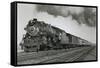 The 'Columbian' of the Baltimore and Ohio Railroad on its Fast Run from New York to Washington D.C.-null-Framed Stretched Canvas