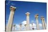 The Columns of the Central Basilica, Apollonia, Libya, North Africa, Africa-Oliviero Olivieri-Stretched Canvas