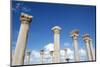 The Columns of the Central Basilica, Apollonia, Libya, North Africa, Africa-Oliviero Olivieri-Mounted Photographic Print