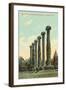 The Columns, University of Missouri-null-Framed Art Print