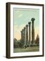 The Columns, University of Missouri-null-Framed Art Print