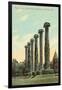 The Columns, University of Missouri-null-Framed Art Print