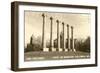 The Columns, University of Missouri-null-Framed Art Print