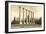 The Columns, University of Missouri-null-Framed Art Print