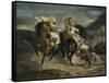 The Combat of the Giaour and Hassan, 1826-Eugene Delacroix-Framed Stretched Canvas
