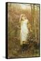 The Coming of Spring-Lionel Percy Smythe-Framed Stretched Canvas