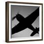 The Commemorative Air Force's F6F-5 Hellcat in Flight-Stocktrek Images-Framed Photographic Print