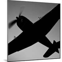 The Commemorative Air Force's F6F-5 Hellcat in Flight-Stocktrek Images-Mounted Photographic Print