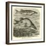 The Common Pike, Esox Lucius-null-Framed Giclee Print