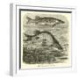 The Common Pike, Esox Lucius-null-Framed Giclee Print