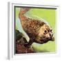 The Common Seal-English School-Framed Giclee Print