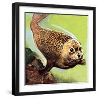 The Common Seal-English School-Framed Giclee Print