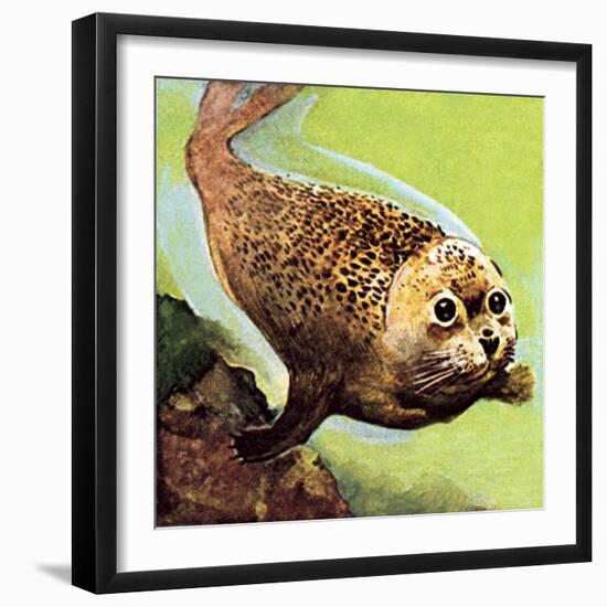 The Common Seal-English School-Framed Giclee Print