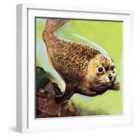 The Common Seal-English School-Framed Giclee Print