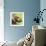 The Common Seal-English School-Framed Giclee Print displayed on a wall