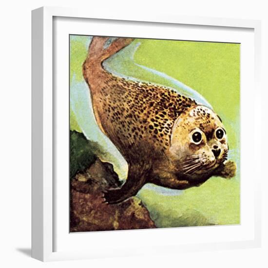 The Common Seal-English School-Framed Giclee Print