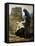 The Compassion, 1887-Pierre Puvis de Chavannes-Framed Stretched Canvas