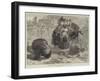 The Compliments of the Season-null-Framed Giclee Print