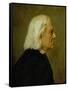 The Composer Franz Liszt (1811-86), 1884-Franz Seraph von Lenbach-Framed Stretched Canvas