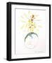 The Conceited Man-Antoine de Saint-Exupéry-Framed Art Print