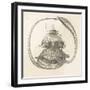 The Concept of the Universe: The Cosmic Turtle Featuring a Snake (Cobra) and Elephants-null-Framed Art Print