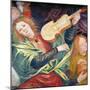 The Concert of Angels, 1534-36-Gaudenzio Ferrari-Mounted Giclee Print