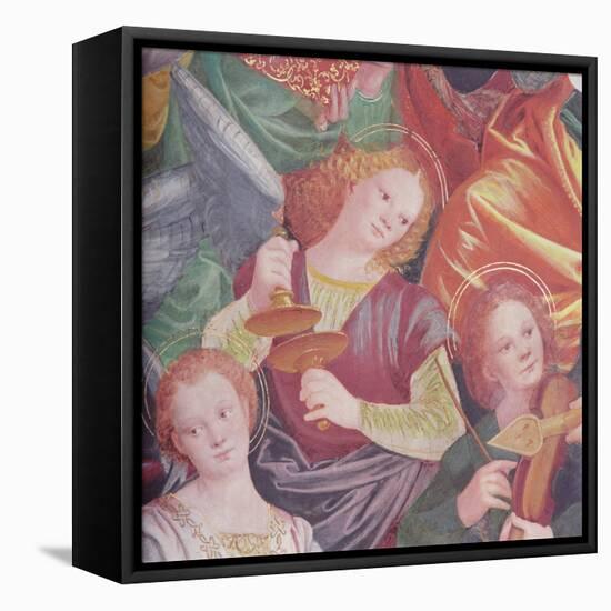 The Concert of Angels, 1534-36-Gaudenzio Ferrari-Framed Stretched Canvas