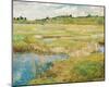 The Concord Meadow, c.1890-Frederick Childe Hassam-Mounted Giclee Print