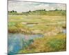 The Concord Meadow, c.1890-Frederick Childe Hassam-Mounted Giclee Print