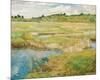 The Concord Meadow, c.1890-Frederick Childe Hassam-Mounted Giclee Print