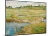 The Concord Meadow, C. 1890-Childe Hassam-Mounted Giclee Print