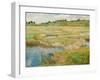 The Concord Meadow, C. 1890-Childe Hassam-Framed Giclee Print