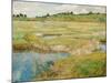 The Concord Meadow, C. 1890-Childe Hassam-Mounted Giclee Print