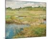 The Concord Meadow, ca. 1891-Childe Hassam-Mounted Art Print