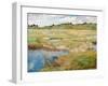 The Concord Meadow, Concord, Massachusetts-Childe Hassam-Framed Giclee Print