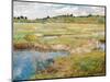 The Concord Meadow, Concord, Massachusetts-Childe Hassam-Mounted Giclee Print