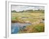 The Concord Meadow, Concord, Massachusetts-Childe Hassam-Framed Giclee Print