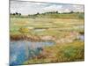 The Concord Meadow, Concord, Massachusetts-Childe Hassam-Mounted Giclee Print